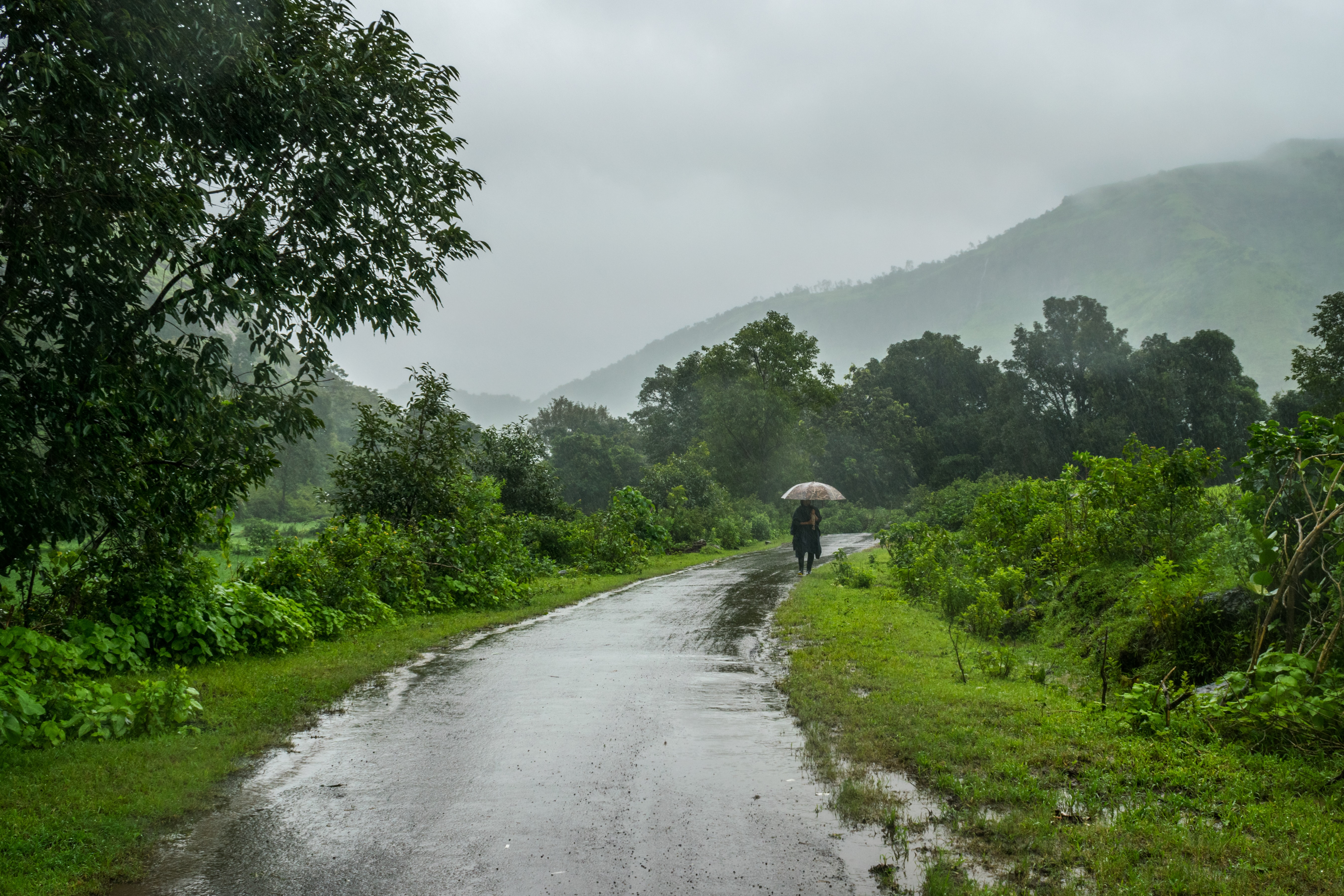 मानसून में क्या सावधानी बरतें…
