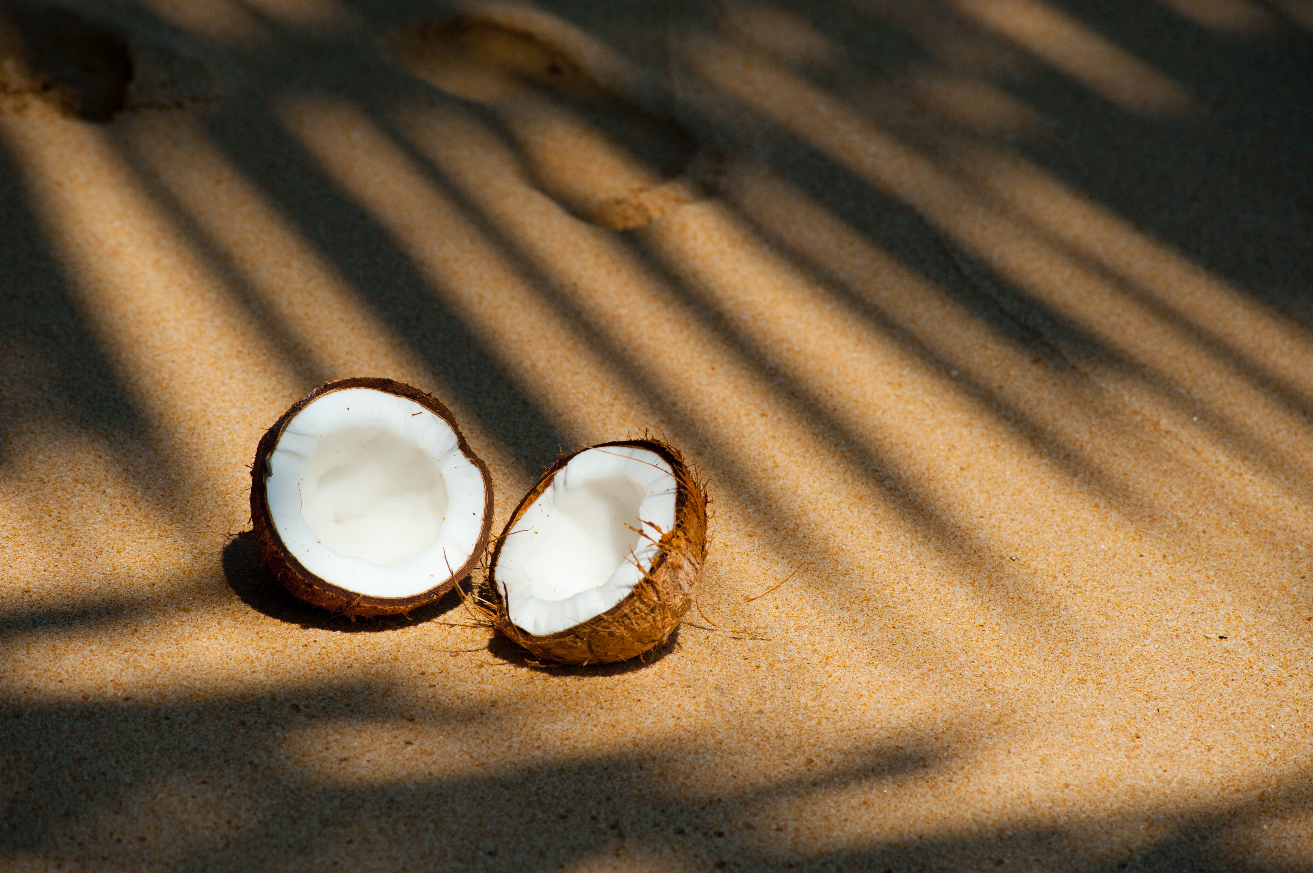 नारियल पानी, खीर, कच्ची गिरी, नारिकेल गोला के चमत्कारी फायदे जानकर हो जाएंगे हैरान…
