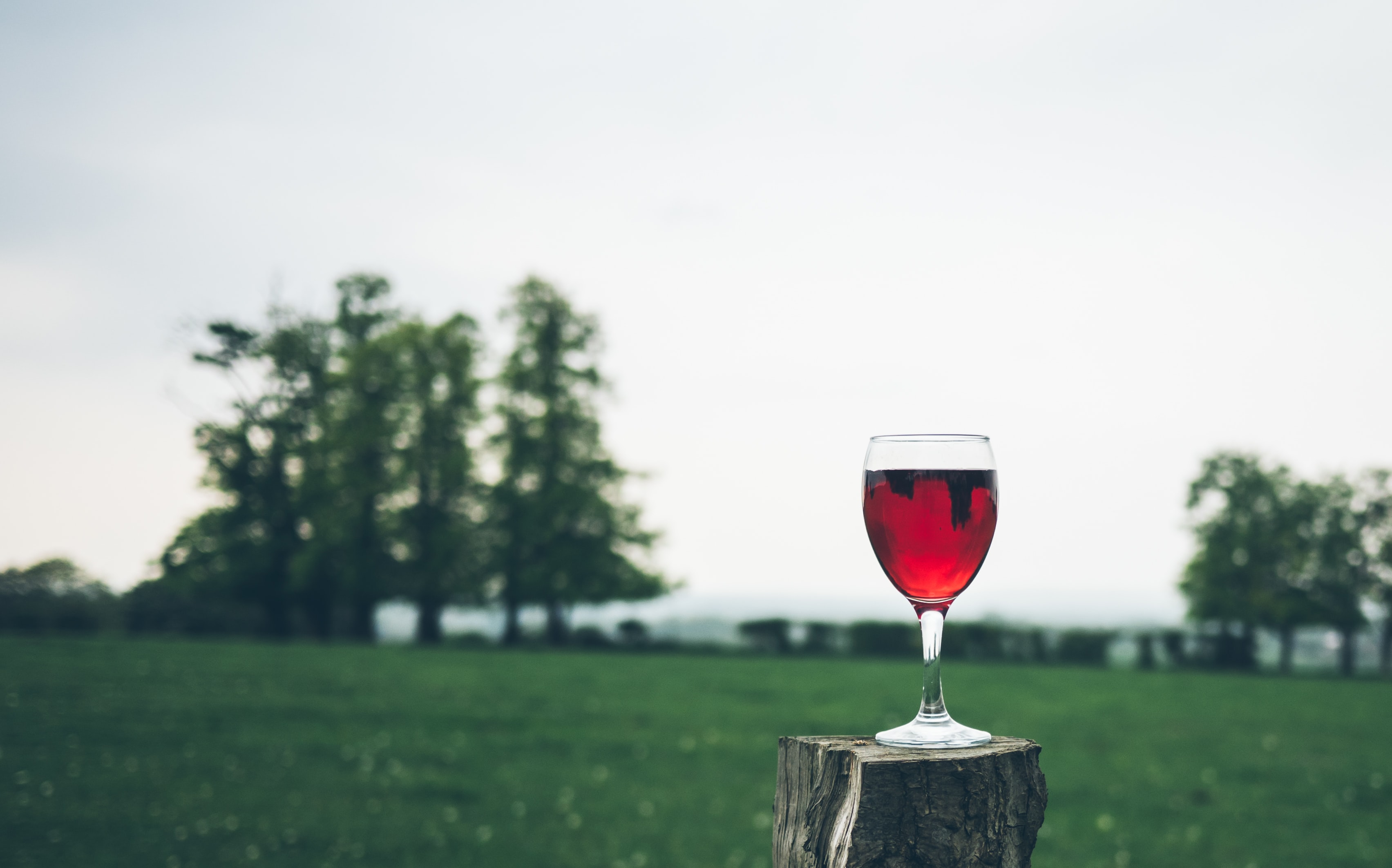 शराब खराब है या अच्छी……..!! क्या कहता है आयुर्वेद?